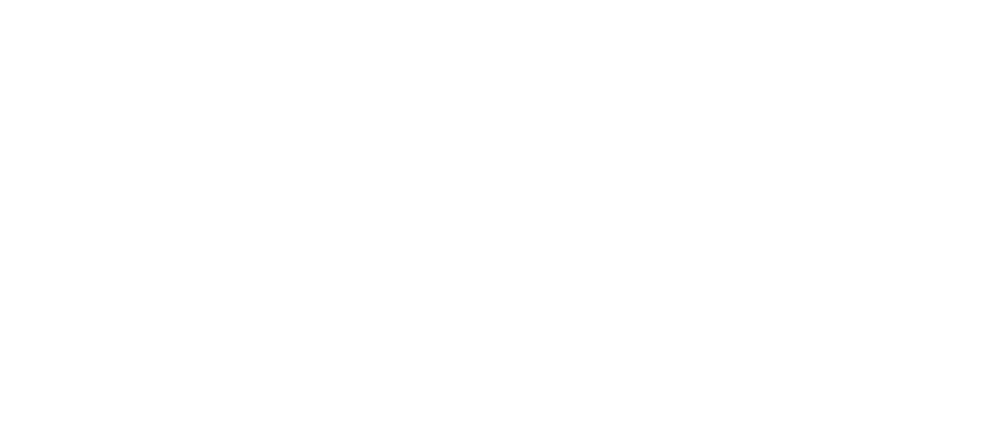 David logo